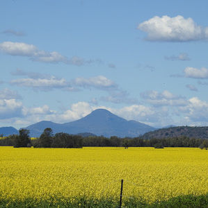 Meet your Posher, Adam